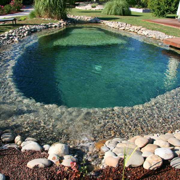piscina naturale ecologica