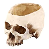 1 pz Skull Pot Resin Skull Flower Pot Set Decorazione Puntelli per spuntini e grande ornamento nella festa o nel ...