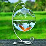 1 Set di forma rotonda da appendere in vetro per acquario Fish Bowl Fish Tank Flower Plant Vaso con supporto ...