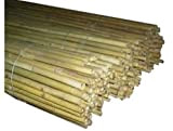 10 canne bamboo bambù pareti divisorie pali pomodori piante rampicanti h. 210 cm diametro 26-28