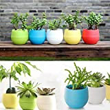 10Pcs piccoli vasi per piante colorati vasi da fiori in plastica per interni per ufficio casa scrivania