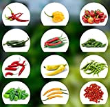 12 tipi di semi di peperoncino da piccante a dolce,Semi di peperoncinoColtivazione facile,Adattabile,Set di coltivazione con semi di peperoncino naturale ...
