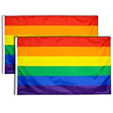 2 Pezzi Bandiere Arcobaleno 90X150cm Bandiera Arcobaleno Gay Orgoglio LGBT Pride Flag Rainbow Colorata Bandiera Resistente alle Intemperie con 2 ...