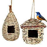 2 pezzis casetta per uccelli da appendere all'aperto, nido per uccelli selvatici all'aperto, casetta per uccellini come colibrì, merli, passeri ...