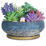 20,3 CM Grandi vasi per piante succulente con vassoio di drenaggio Vasi bonsai in ceramica per piante Giardino Cactus Fiore ...