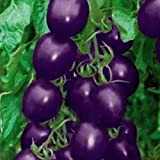 20 Seeds Purple Cherry Tomato Organic Fruit Vegetable Plant