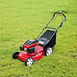 21 inch Hand Push Or Automatic Lawn Mower 7-Speed Adjustable Lawnmower with 60L Large Capacity Grass Collecting Box Displacement 173 ...