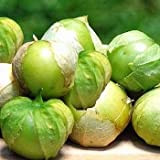 25 semi di Verde Tomatillo - Physalis Ixocarpa