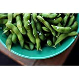 30 BIRRA AMICO SOIA verde Edamame Bean Glycine max semi di ortaggi di leguminose