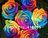300 semi mistico arcobaleno Rose cespuglio di fiori, 3 stili diversi arcobaleno colorato semi di rosa, più misterioso dono