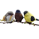 3PCS Uccellini Creativi in Resina Decorazione da Giardino Decorazione Per Interni in Resina Decorazione Per Uccelli Decorazione per Prato Statua ...