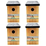 4 x Handy Home and Garden Nido di Uccello/Casa per Uccelli in Legno Trattato a Pressione per Uccelli Selvatici e ...