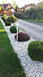4myBaby GmbH - Pietre di ghiaia Best for Garden, 16-32 mm, ecologiche e colorate, per aiuole, sentieri e laghetti da ...