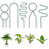 5 supporti per piante da giardino, traliccio per piante da appartamento, traliccio per piante rampicanti, supporto per piante in vaso, ...