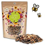 500 g di semi di prato fiorito per un colorato pascolo per le api - miscela di semi di fiori ...