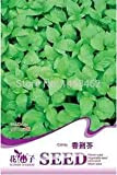 50pcs / bag Nepeta cataria semi, familiari in vaso semi di ortaggi