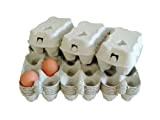 51 contenitori Portauova da 6 uova in cartone bianco. Cartoni per uova, Riciclabili e Biodegradabili.