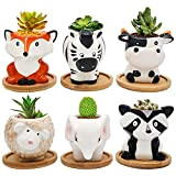 6 vasi in ceramica per piante grasse piccole, moderne a forma di animale, per piante da interno e esterno, con ...