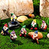 7 Pezzi Statue degli Gnomi in Miniatura in Resina Fata Mini Gnomo da Giardino per Decorazione della Tavola e del ...