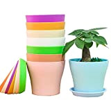 8 Pezzi Vaso di Fiori balcone Colorati vasi in Plastica per Fiori, per Arredo Casa, Giardinaggio, Vasi da Fiori per ...