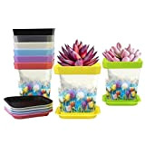 8 vasi per piante acquerello arte tulipani fiori in plastica con fori di drenaggio e vassoio, vasi per piante grasse ...