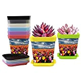 8 vasi per piante colorate fiori da campo tulipani in plastica con fori di drenaggio e vassoio, vasi per piante ...