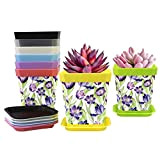 8 vasi per piante, tulipani, fioriere in plastica con fori di drenaggio e vassoio, vasi per piante grasse da interni ...