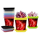 8 vasi per piante, tulipani rossi, fiori per la festa della mamma, in plastica, con fori di drenaggio e vassoio, ...