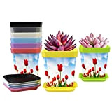8 vasi per piante vibranti bellezza, romantici tulipani rossi, fioriere in plastica con fori di drenaggio e vassoio, vasi per ...