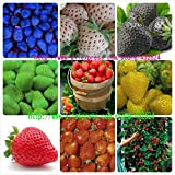 9kinds di semi di fragola, bianco, giallo, blu, nero, rosso, verde, grandi fragole, salita, totale 900 semi plants.bonsai giardino di ...