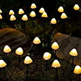 ABchat Solar Garden Lights, 6.5M 30 LED Mushroom Fairy Lamp Stake Outdoor Pathway Lighting Decorative for Lawn, Patio, Festoon, Summer ...