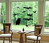 Adesivi per finestra e uccelli, con sagome, anti uccelli e gufi, 14 adesivi, colore: nero