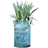 ADISVOT Vasi di Metallo Shabby Chic Vasi per Fiori Stile Francese Rustico Brocca Piccolo Pianta Decorazione Giardino -12inches