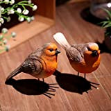 Adoture Set di 2 Robins Simulazione uccello giardino animali decorazioni Acacia Decorazione in PolyResin