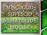 Agraria Ughetto Apicoltura Miscuglio Sovescio nematocide-biocide -BIOFUMIGAZIONE Naturale - Seme Certificato kg. 1 | Mellifere da Semina e sovescio