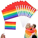 AIEX 20 Pezzi Bandiere Arcobaleno con 20 Pezzi Aste di Plastica Colorati Vigorosi Bandiera Gay Pride Bandiera Lesbica Bandiera LGBTQ ...