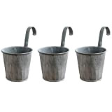 Akin 3 vasi da appendere in metallo, ferro da stiro, vintage, in ferro, per recinzioni, balconi, giardini, fioriere, decorazioni per ...