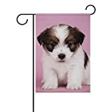 Alaza - Bandiera decorativa con cane Jack Russel Terrier, 71,1 x 101,6 cm