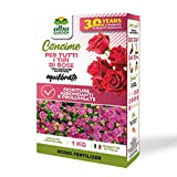 Albagarden Concime Rose Granulare - Fertilizzante Solubile Nutriente Per Abbondanti Fioriture - Ottimo Per Rose Rampicanti E Tutte Le Varietà ...