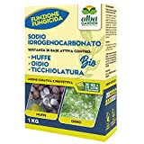 Albagarden - Fungicida Piante Naturale - Bicarbonato Di Sodio Biologico, Contro Le Malattie Da Funghi Come Oidio, Muffa, Verderame, Peronospora ...
