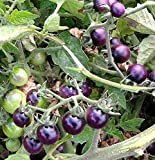 ALYKE 30 seeds Purple Tomato - SOLANUM LYCOPERSICUM