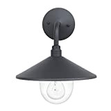 Amazon Basics - Lampada da parete per esterni con lampadina e vetro diffusore trasparente, 28,7 x 27,2 x 33 cm, ...