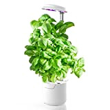 amzWOW Dafne Smart Garden Mini Serra, idroponica Kit Completo per Coltivazione Indoor, Vaso Smart autoirrigante con Luce LED per Crescita ...