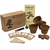ANISTA – Set di coltivazione bonsai – allevate i vostri alberi bonsai. 4 varietà di semi di bonsai nel nostro ...
