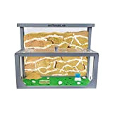 AntHouse - Formicaio Naturale di Sabbia 3D Grigio | Kit L (Sandwich + Cassa di Foraggiamento) | Formiche Incluse con ...