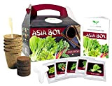 Asia Box - Set per la coltivazione - semi di 5 erbe aromatiche e verdure per la cucina asiatica - ...