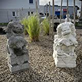 Asien Lifestyle Leoni guardiani cinesi in pietra naturale (110cm) giardino leoni di pietra dalla Cina statue