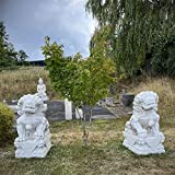 Asien Lifestyle Leoni guardiani in pietra di marmo (115 cm) giardino leoni di pietra dalla Cina statue