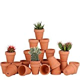 Awsuc Set di 28 Vasi da Fiori 5.5cm,vasi per Piante Vaso in Terracotta in Ceramica con Foro di drenaggio per ...