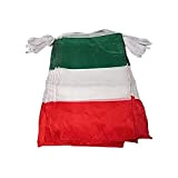 AZ FLAG Ghirlanda 12 Metri 20 Bandiere Italia 45x30cm - Bandiera Italiana 30 x 45 cm - Festone BANDIERINE